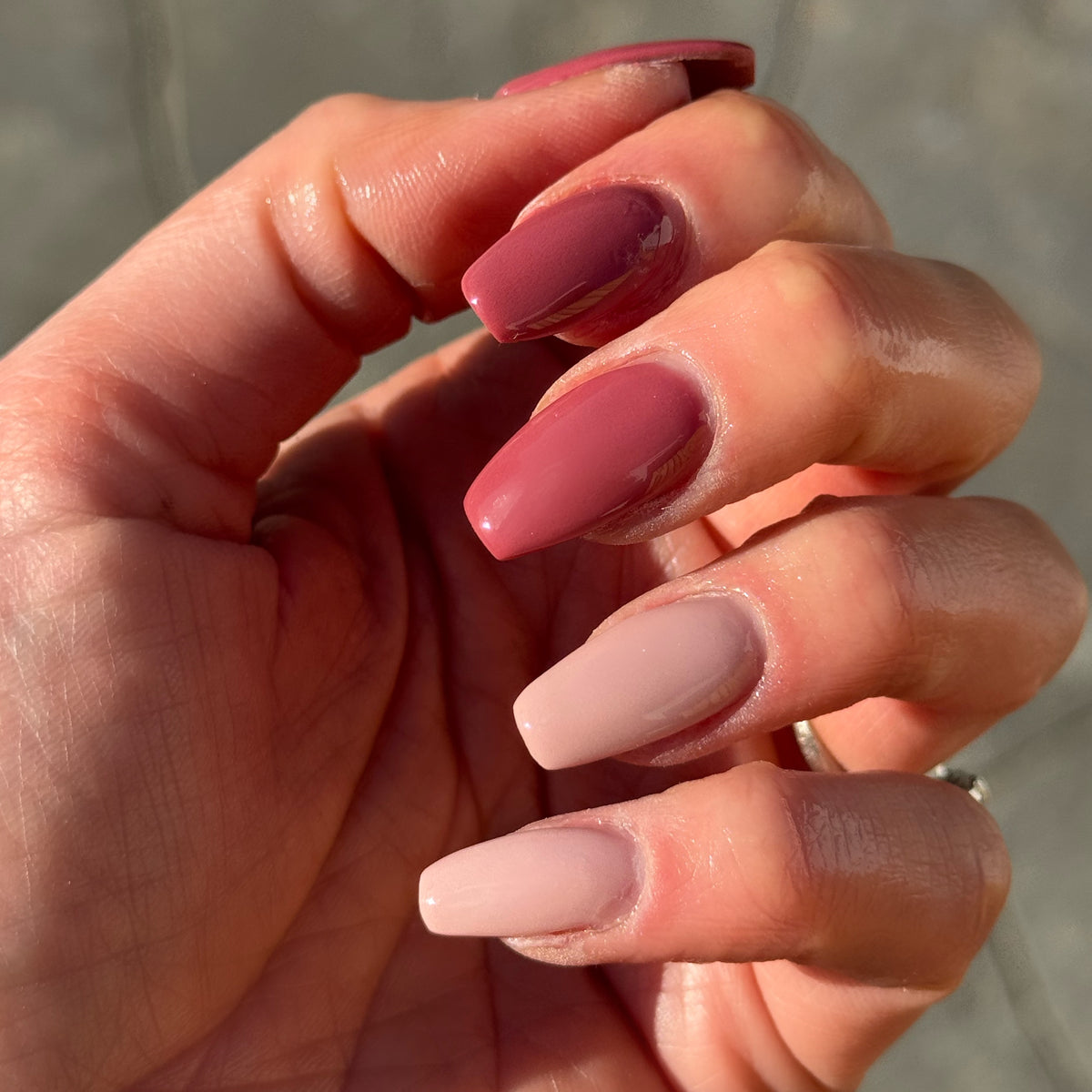 Demure Collection