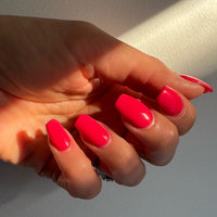 Demure Collection