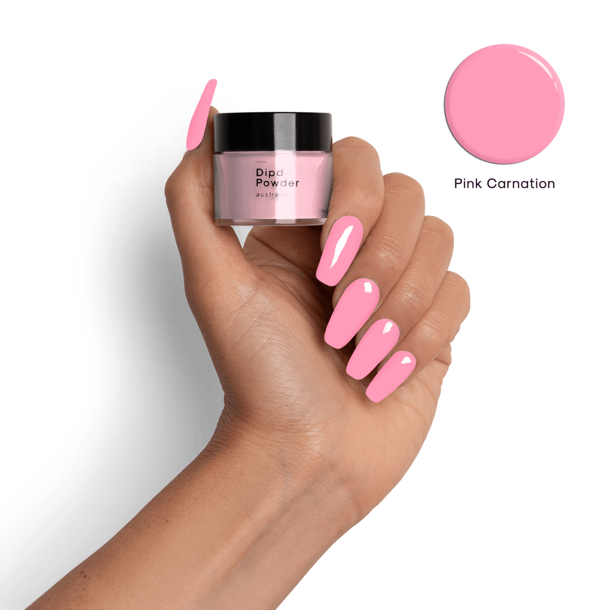 Pink Carnation