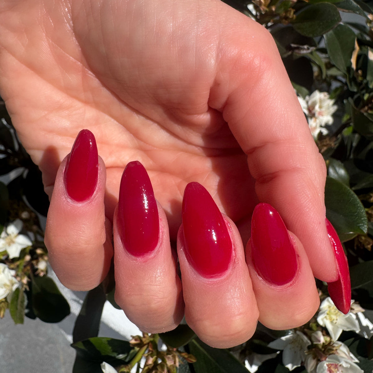 Promiscuous Red DIPD Nails on Natural Nails